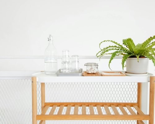 A stylish and modern beverage stand featuring a plant and water bottle in a clean indoor setting.